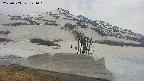 area1-20250503144020.jpg