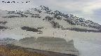 area1-20250503145022.jpg