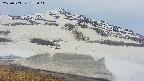 area1-20250503172017.jpg