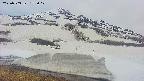 area1-20250503173021.jpg