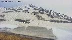 area1-20250503174017.jpg