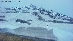 area1-20250503185019.jpg