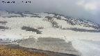 area1-20250504163017.jpg