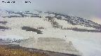 area1-20250504174019.jpg
