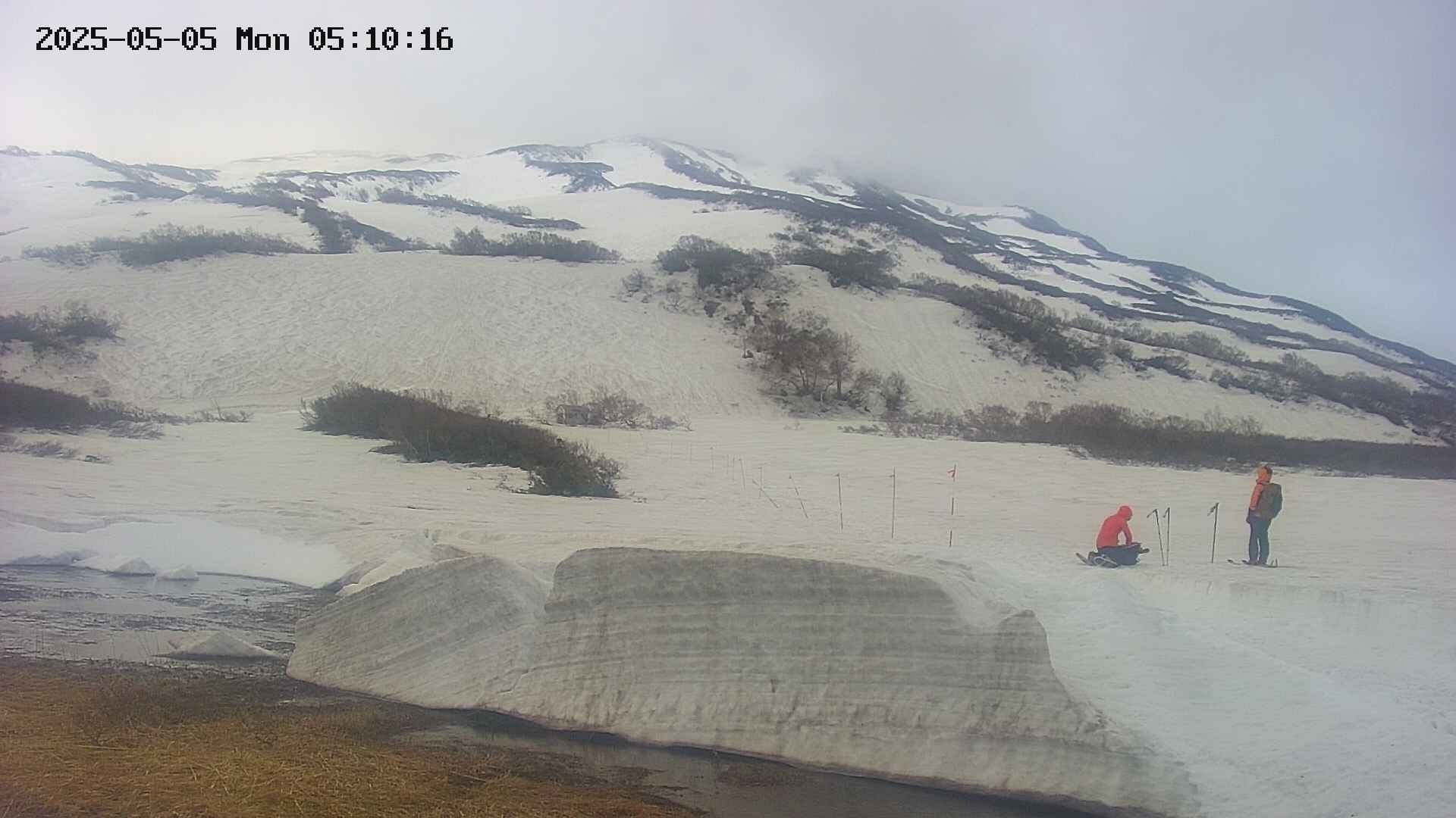 area1-20250505051017.jpg