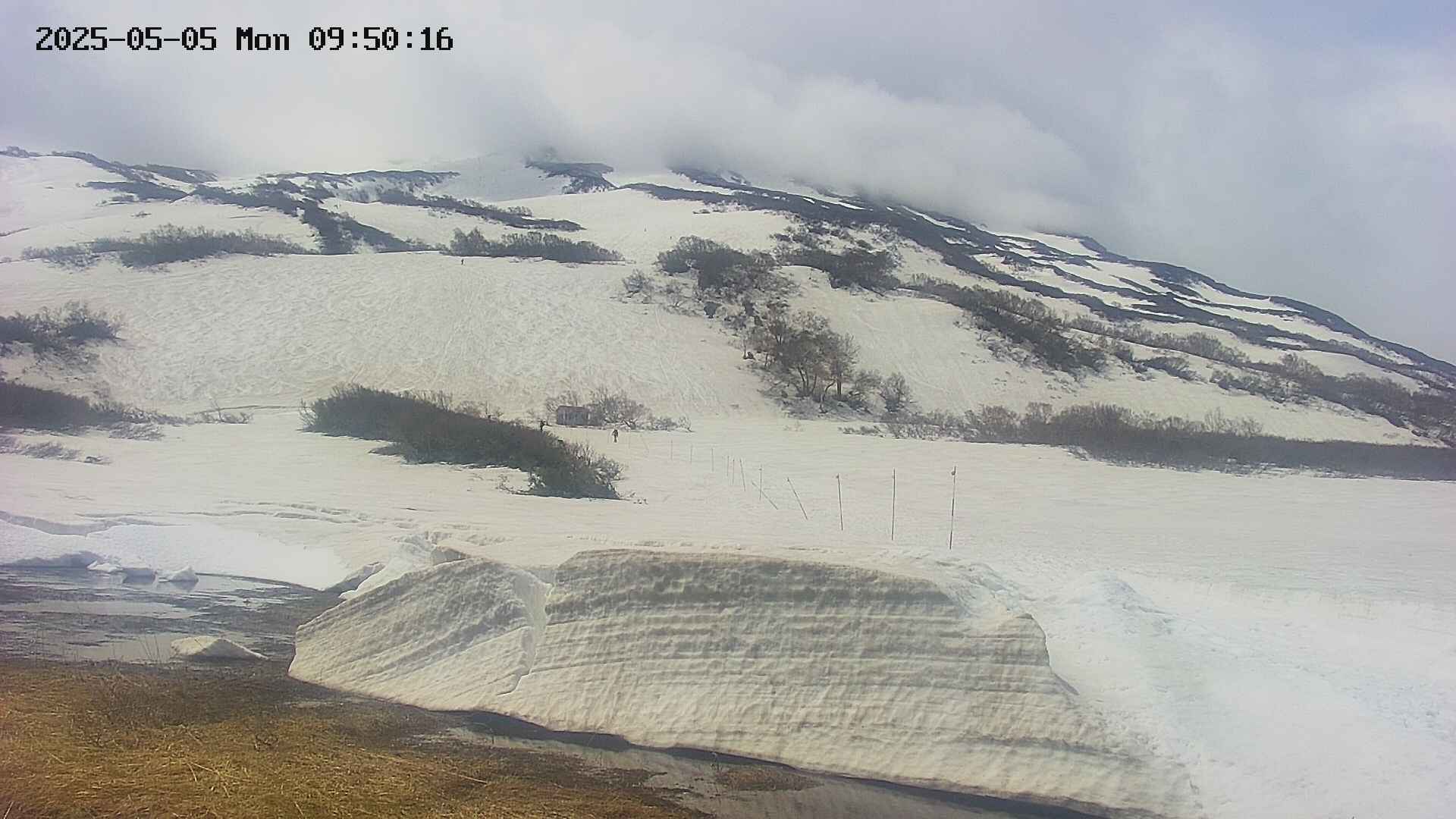 area1-20250505095022.jpg