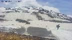 area1-20250505120021.jpg