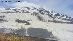 area1-20250505121021.jpg