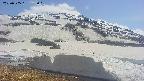 area1-20250505135020.jpg