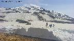 area1-20250505141019.jpg