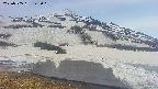 area1-20250505143018.jpg