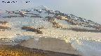 area1-20250505175020.jpg