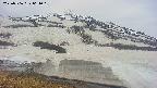 area1-20250506061020.jpg