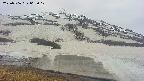 area1-20250506063018.jpg