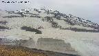 area1-20250506064016.jpg