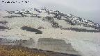 area1-20250506100016.jpg