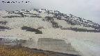 area1-20250506112016.jpg