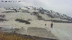 area1-20250506115016.jpg