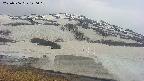 area1-20250506120016.jpg