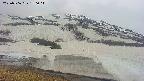 area1-20250506130018.jpg