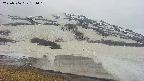 area1-20250506131018.jpg