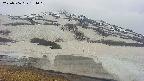 area1-20250506134022.jpg