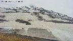 area1-20250506141018.jpg