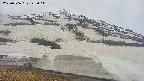 area1-20250506142019.jpg