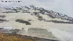 area1-20250506144016.jpg