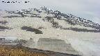 area1-20250506154019.jpg