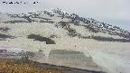 area1-20250506155018.jpg