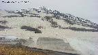 area1-20250506160019.jpg