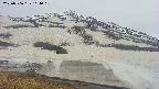 area1-20250506161021.jpg