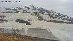 area1-20250506165020.jpg