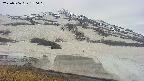 area1-20250506170021.jpg