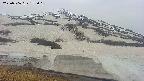 area1-20250506173020.jpg