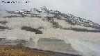 area1-20250506175019.jpg