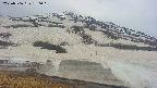 area1-20250506180019.jpg