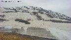 area1-20250506181023.jpg