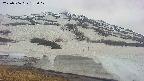area1-20250506182019.jpg