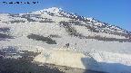 area1-20250508070016.jpg