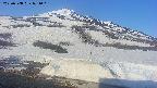 area1-20250508071016.jpg