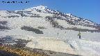 area1-20250508073016.jpg