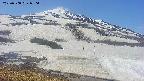 area1-20250508090123.jpg