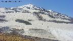 area1-20250508095030.jpg