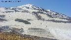 area1-20250508100053.jpg