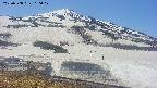 area1-20250508110032.jpg