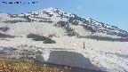 area1-20250508140021.jpg