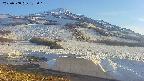 area1-20250508173023.jpg