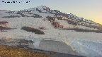 area1-20250508183019.jpg